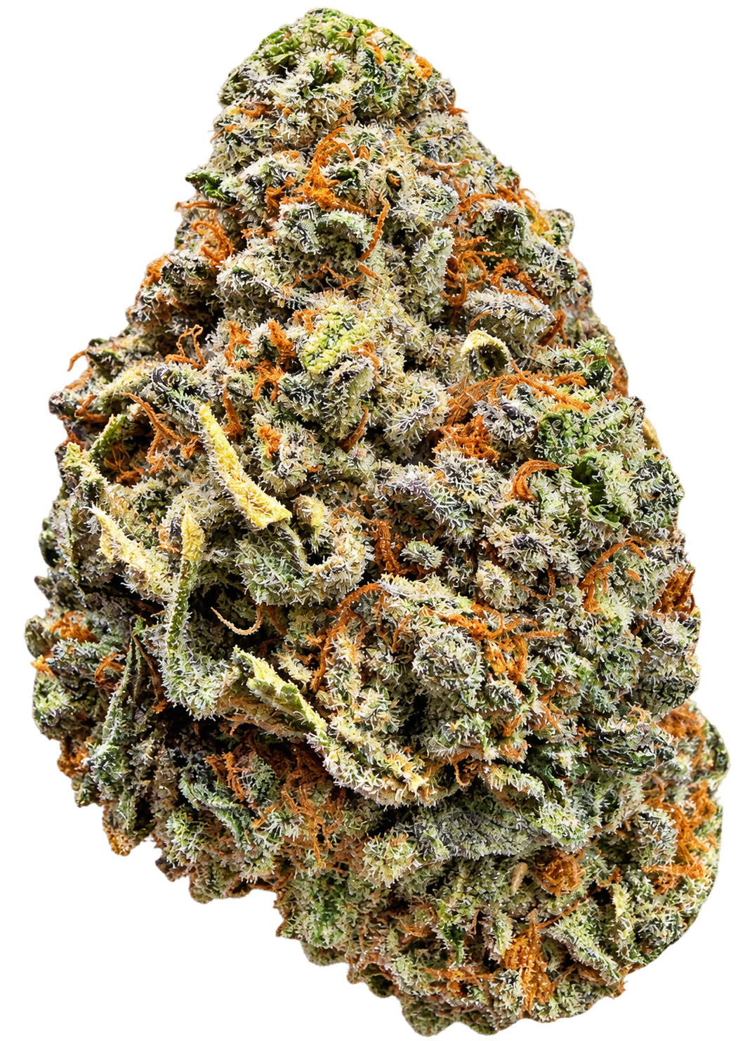 Skywalker 1 Skywalker