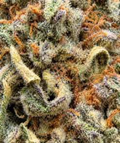 Skywalker 5 85cce25b c7eb 4f25 873b 37451be6cbbc